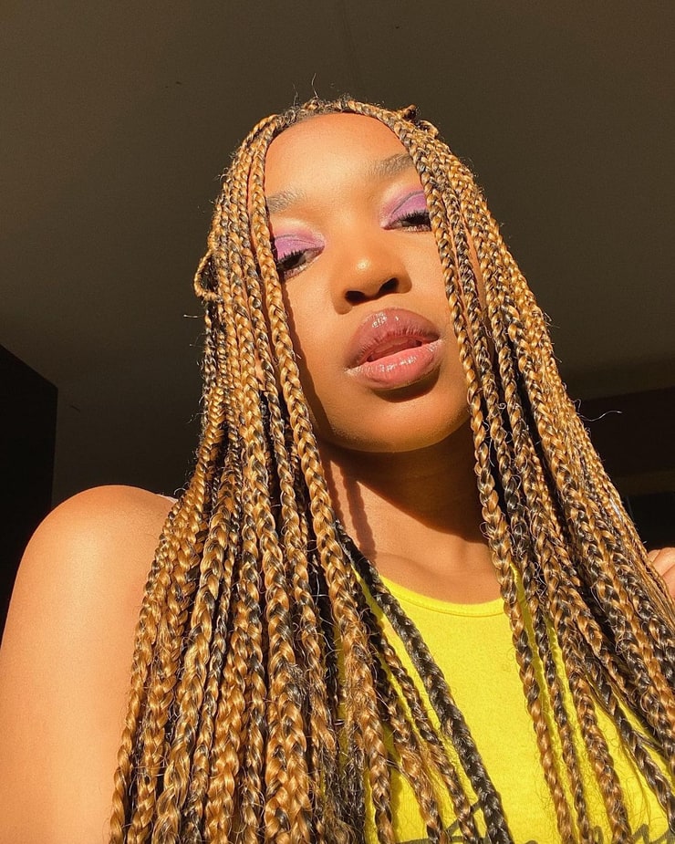 Understanding the Consequences: The Downside of Overextending Box Braid Wear