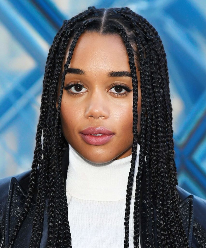 Tangled in Time: Exploring the Rich Tapestry of Box Braids