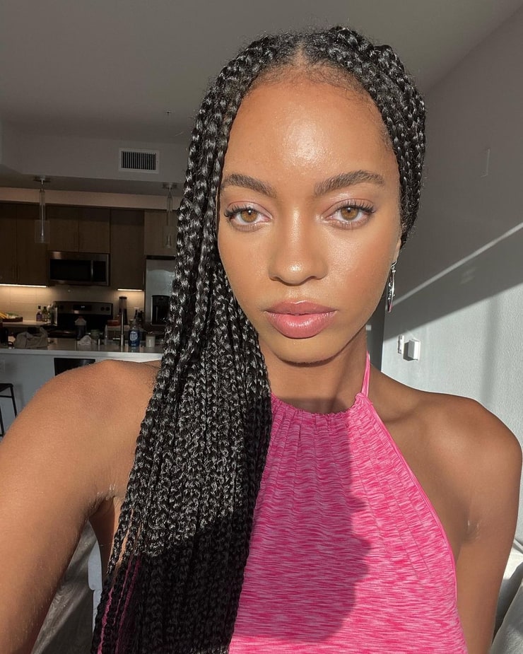 Preserving the Pliability: A Comprehensive Guide to Maintaining Soft and Supple Box Braids