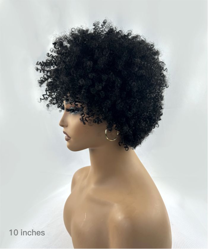 Glueless Virgin Human Hair Bob Afro Curly Wig